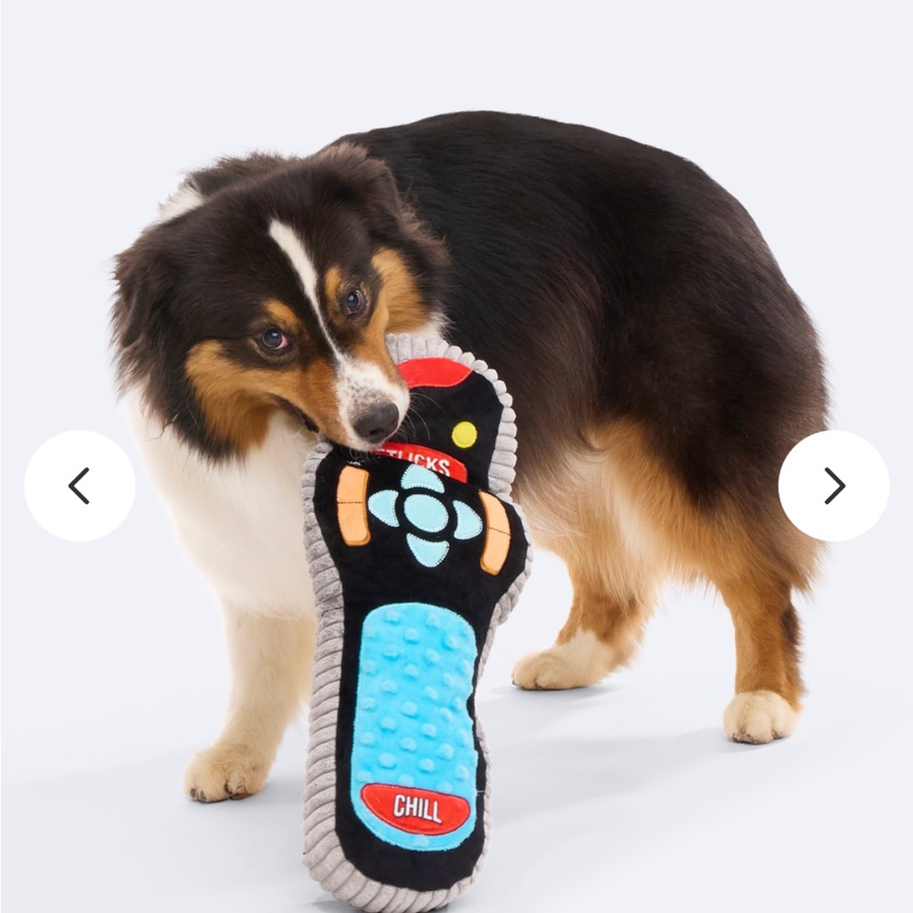 Bark Box XL dog toy Chewniversal remote squeaks, crinkles, thrash toss NEW